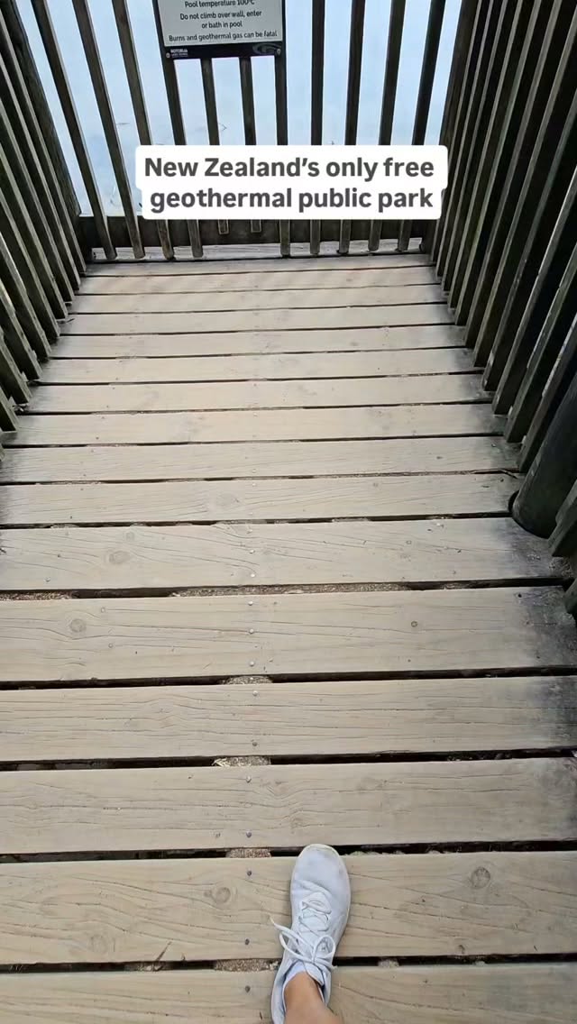 Rotorua's Free Geothermal Public Park