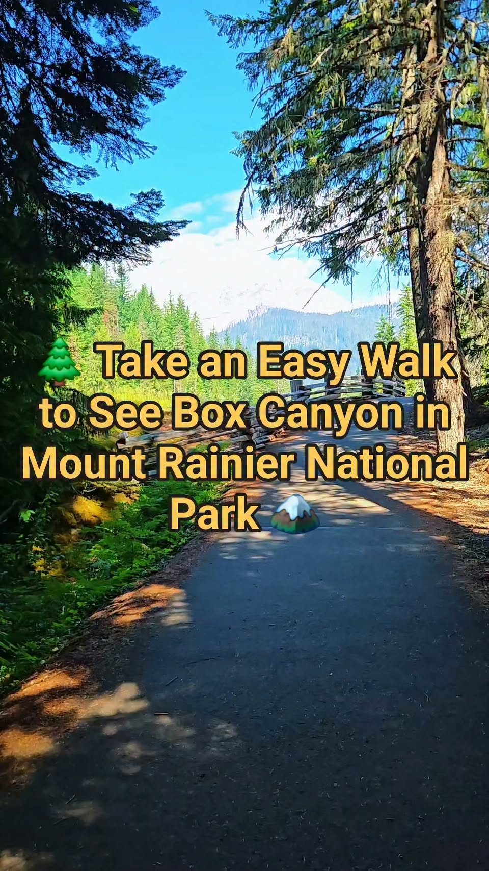 Mount Rainier National Park's Box Canyon Trail