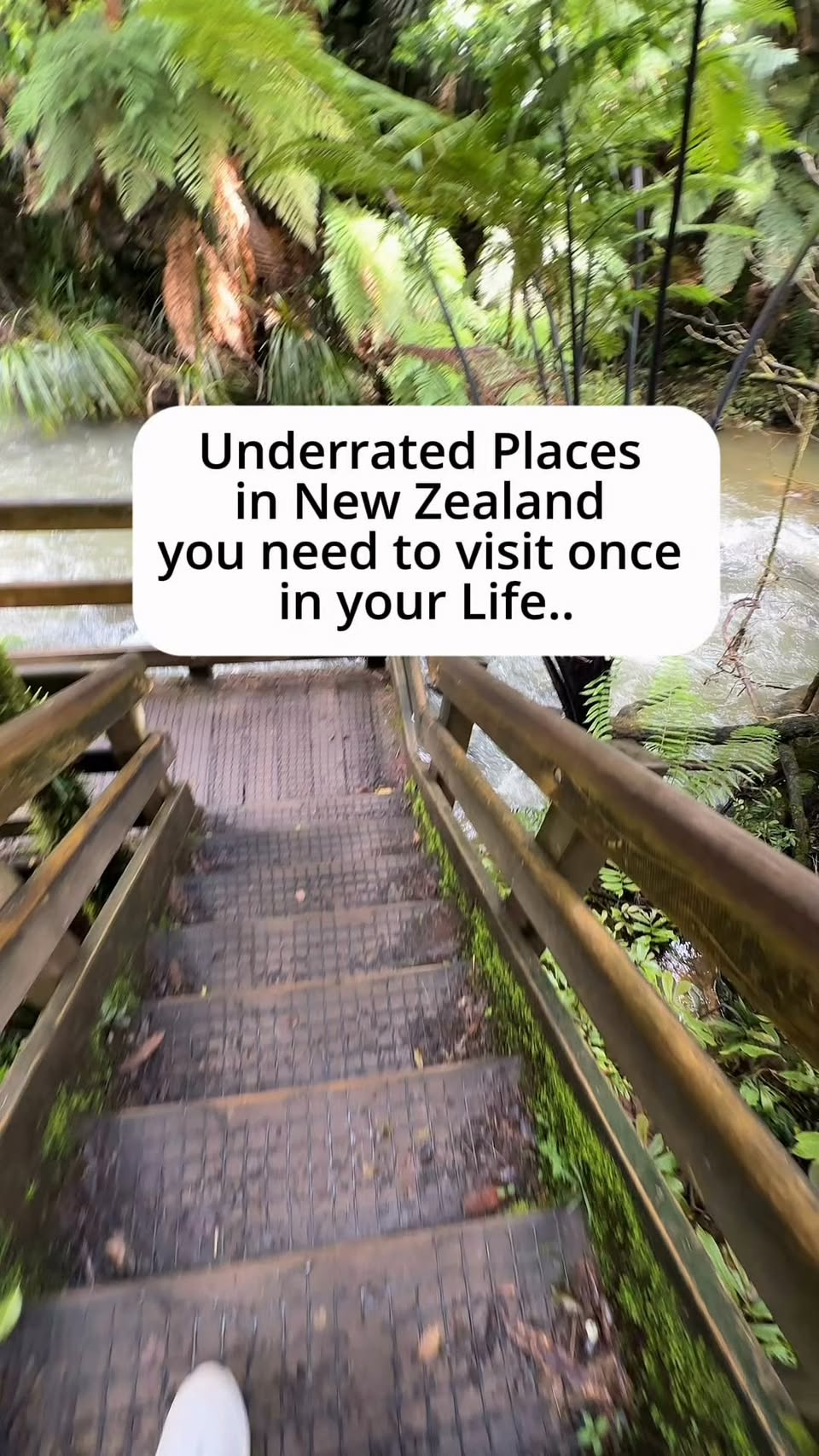 New Zealand's Natural Wonders and Thermal Spas