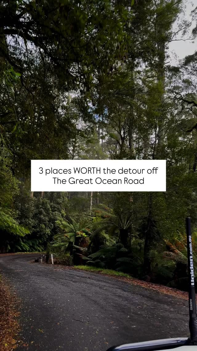 Great Ocean Road's Redwoods, Falls, and Treetop Adventures