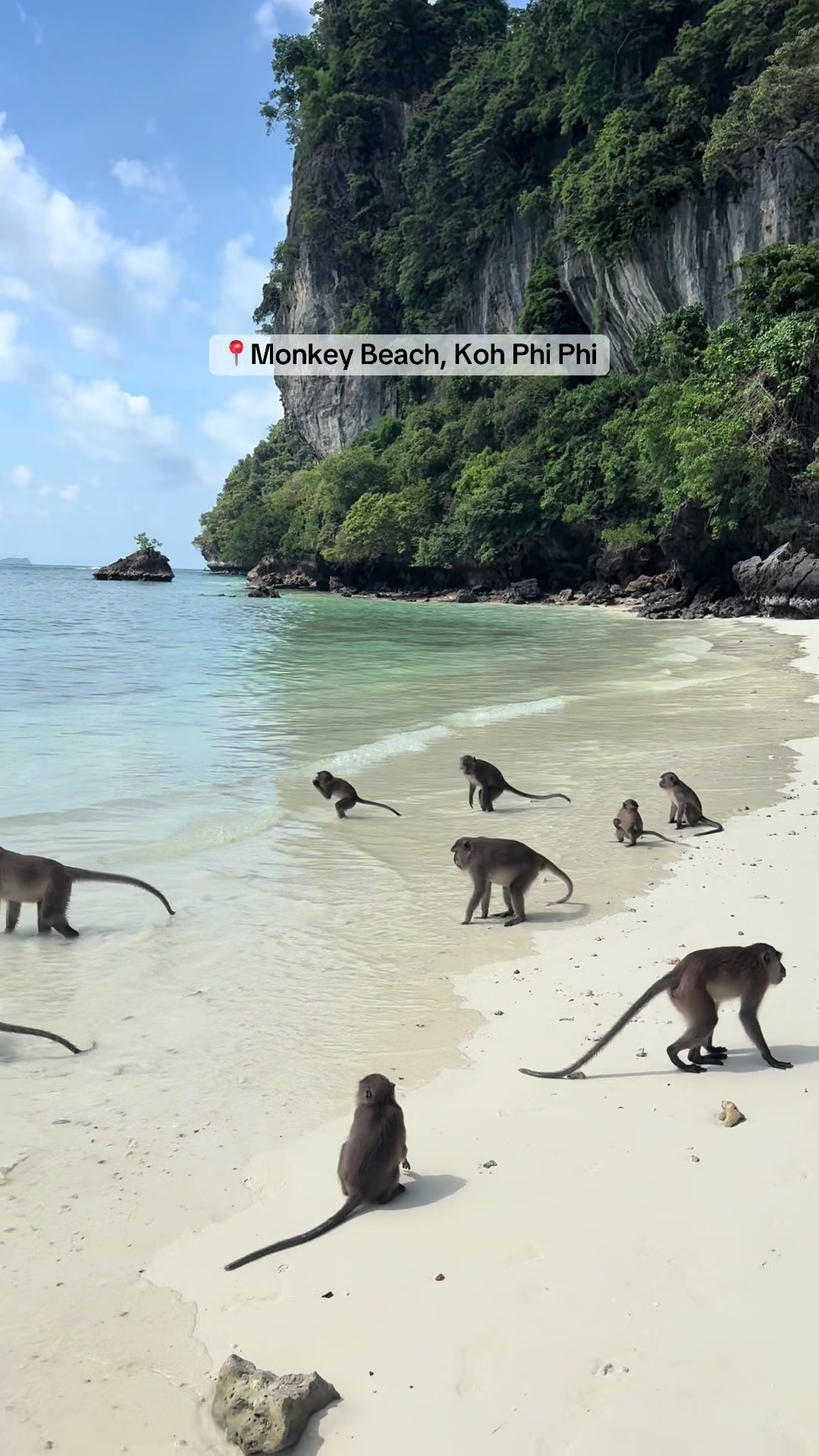 Monkey Beach Encounters In Thailand