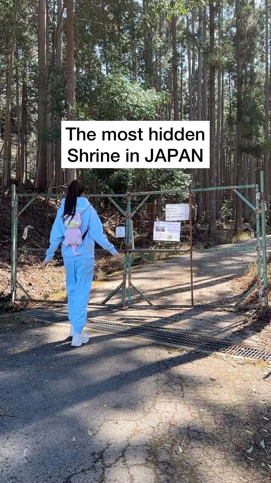Kamigamo Shrine: A Ghibli-esque Portal
