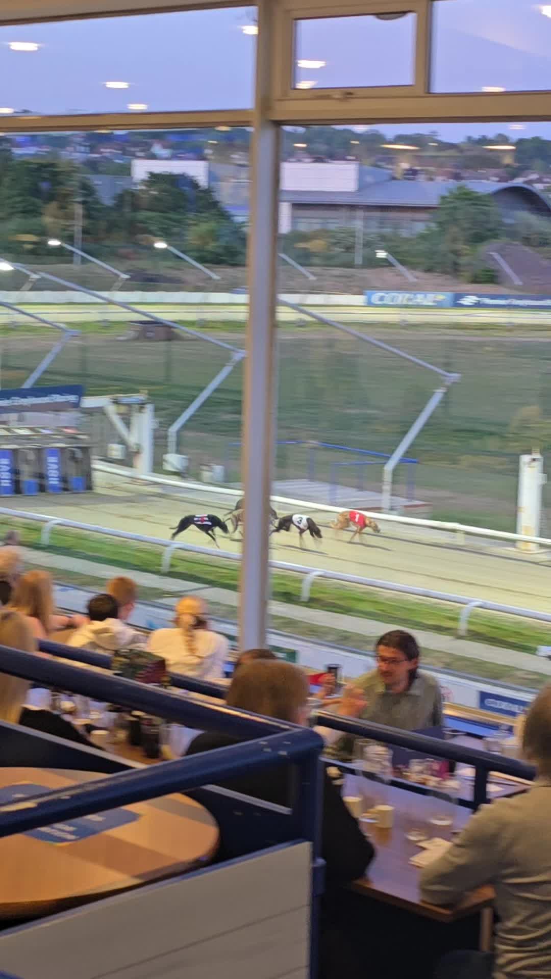 Coral Romford Greyhound Stadium Greyhound Racing
