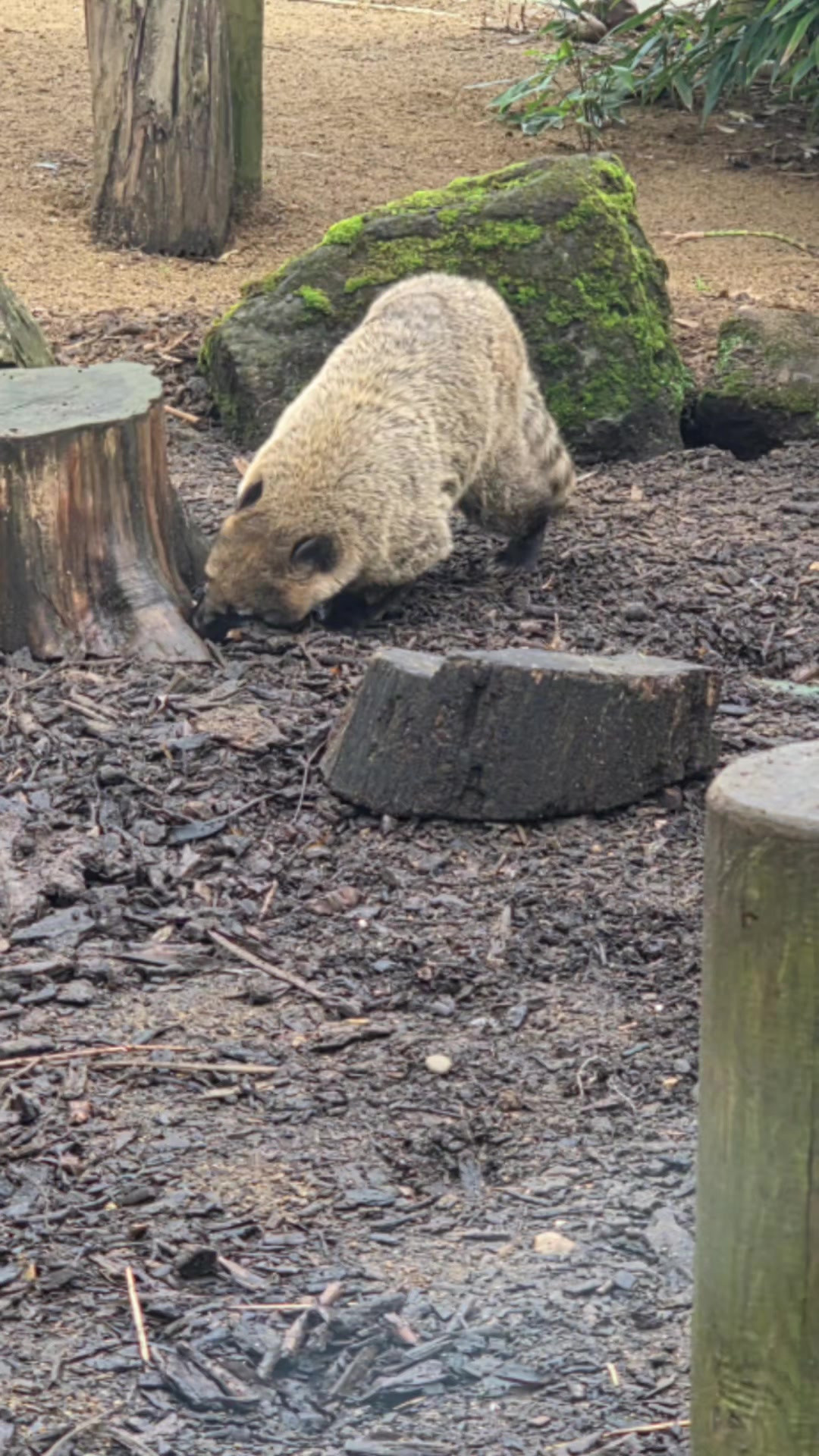Animal Habitats and Exhibits