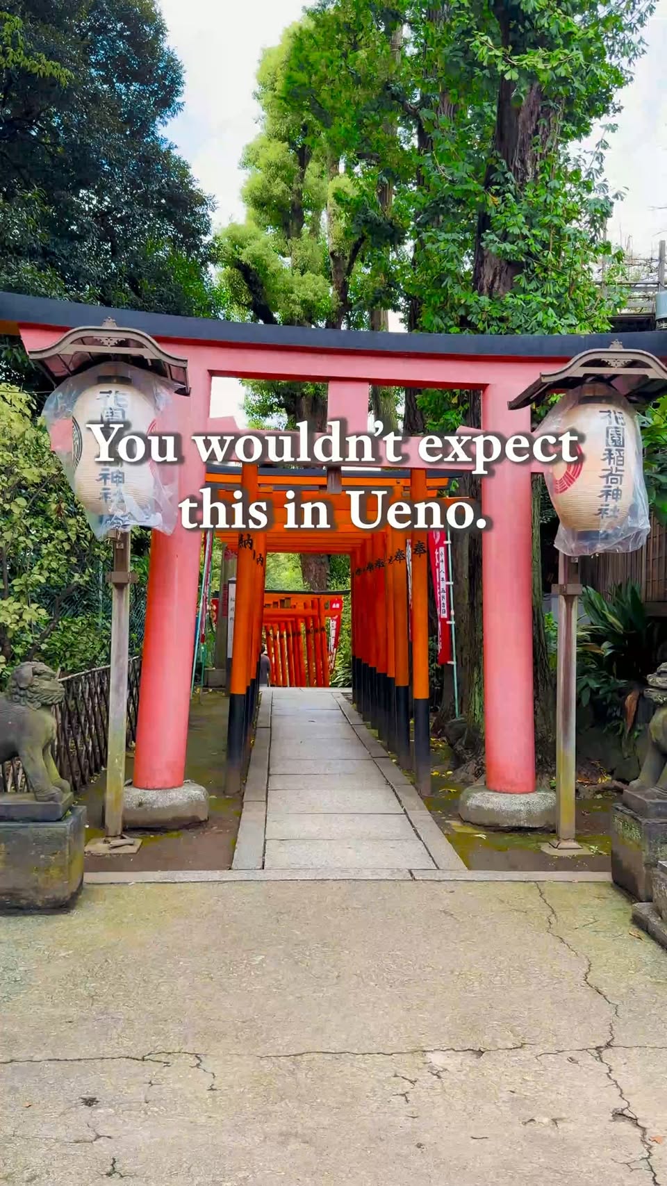 Shrines and Station in Ueno Park