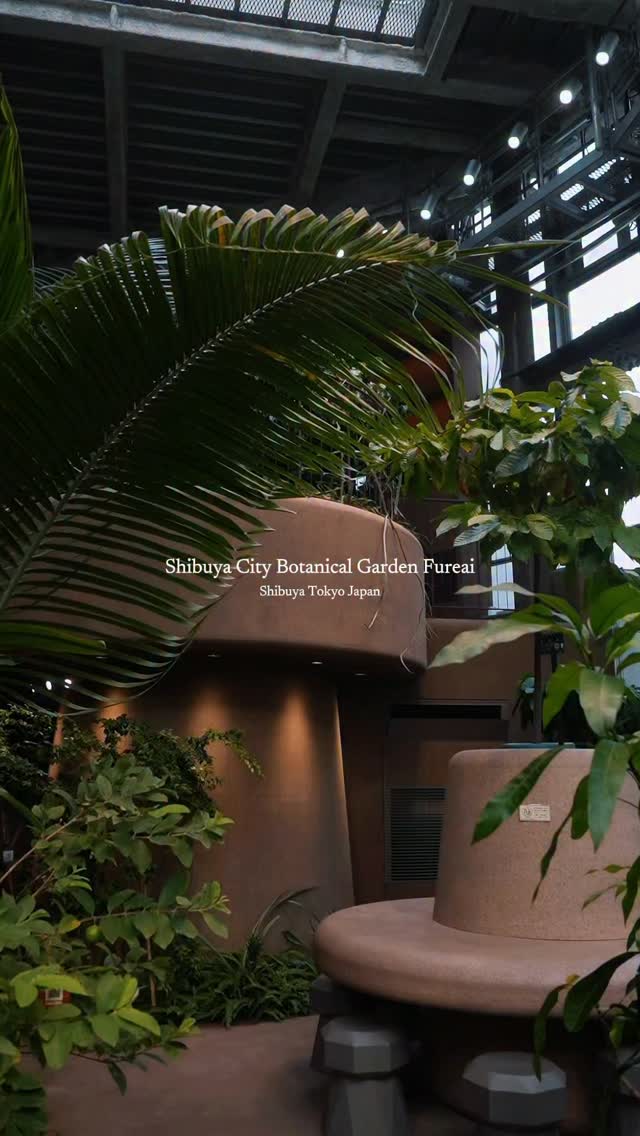 Shibuya Botanical Center: Jungle Oasis With Evening Dining