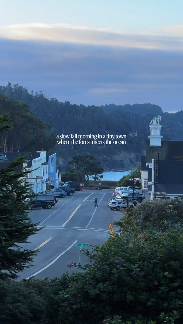 Coastal Charm: Why Mendocino is a Traveler's Favorite
