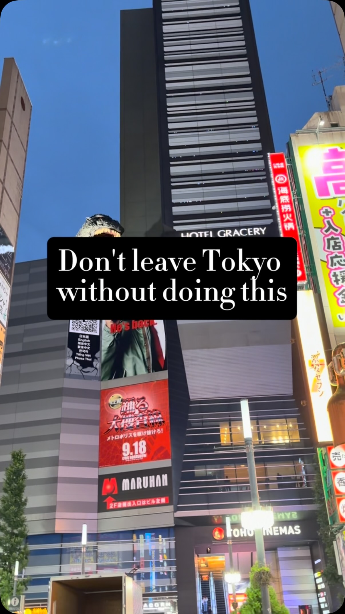 Tokyo Nightlife: Connect and Celebrate