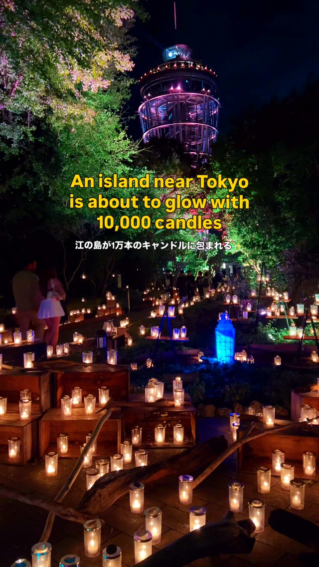 Enoshima Island's Candlelit Gardens and Tower