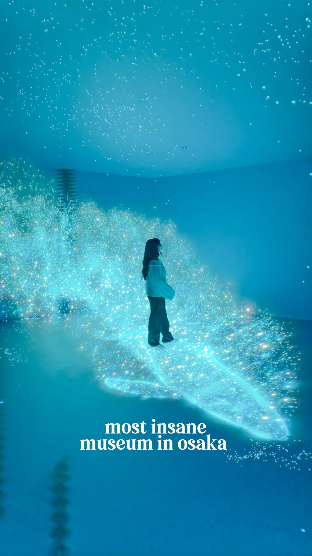 Miracle World Osaka's Immersive Light and Sound Museum