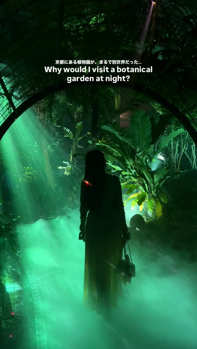 Kyoto Botanical Garden Night Art Event