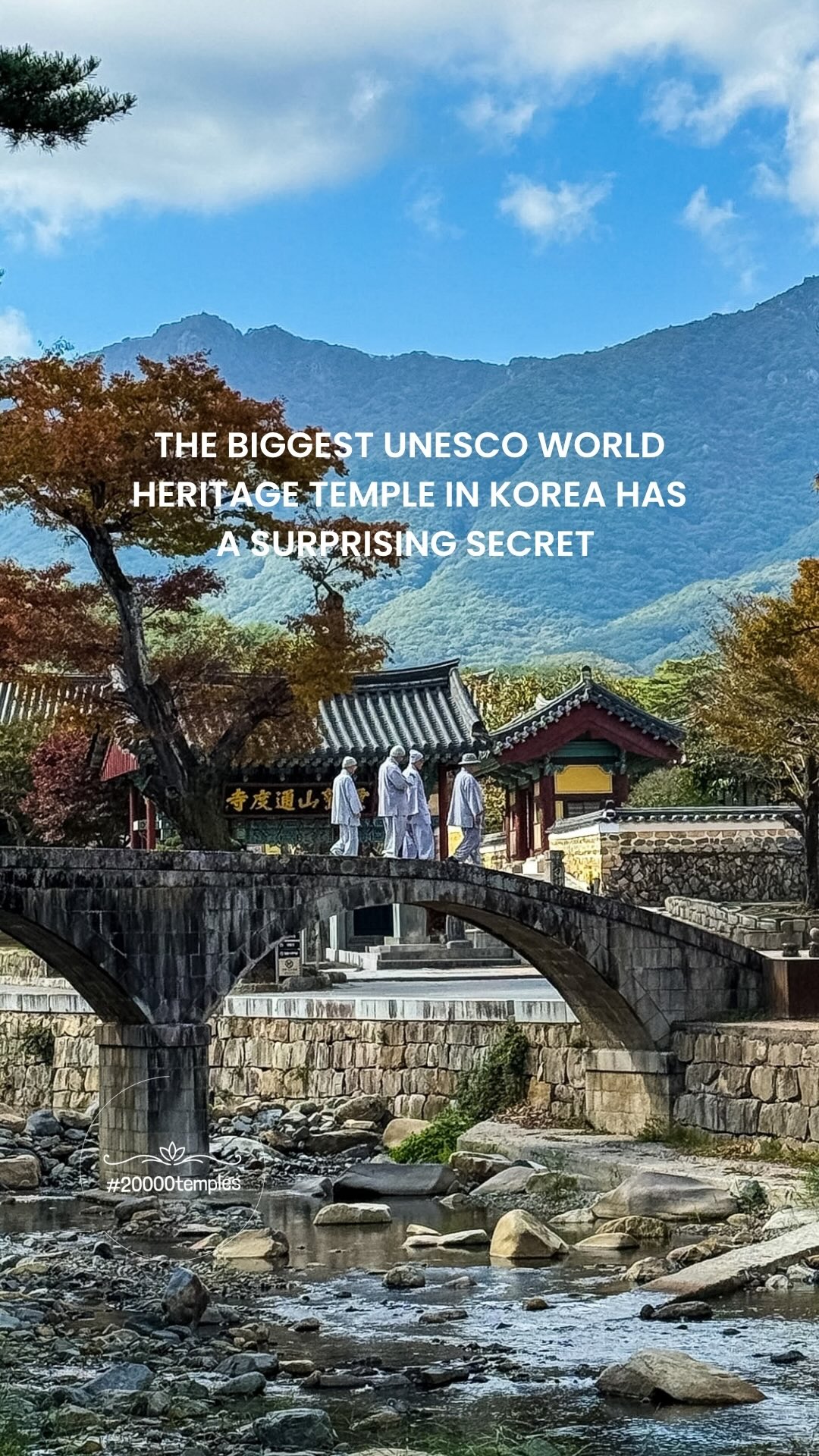 Busan Terminal To Temple Autumn Escape