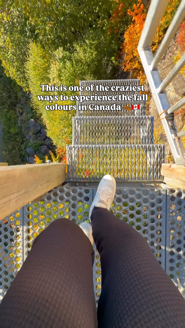 Zipline Adventures Amidst Fall Foliage