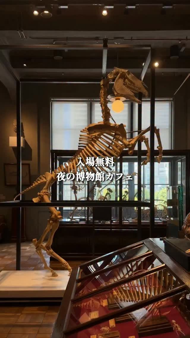 Tokyo Station's Free Museum of Academic Specimens