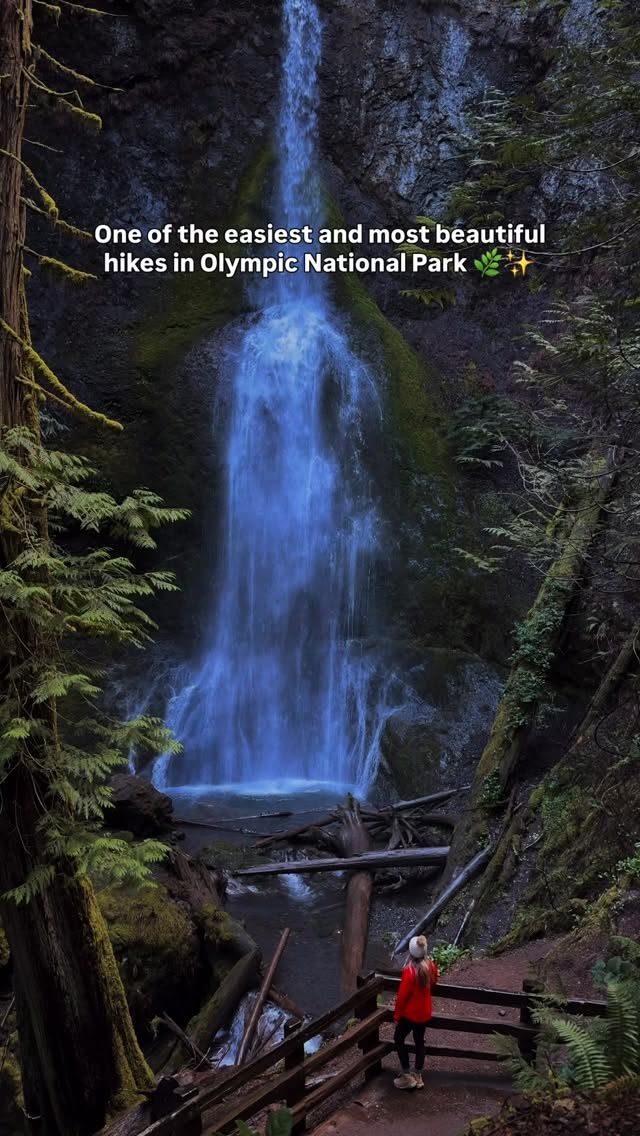 Olympic National Park's Beautiful Marymere Falls Hike