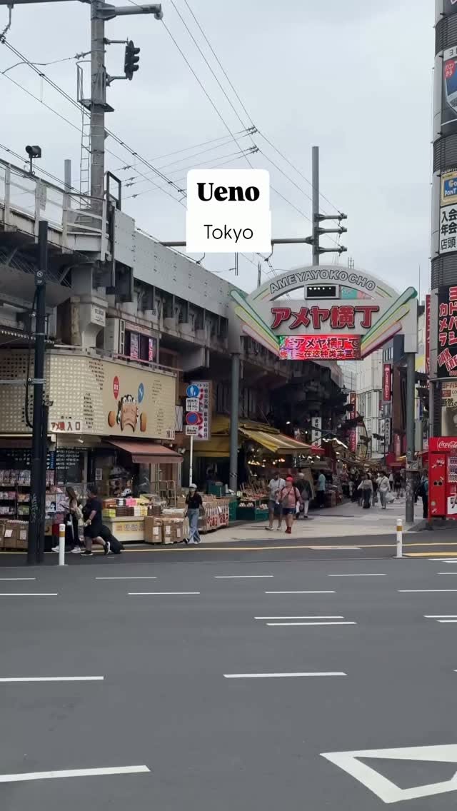 Discover Ueno Park's Attractions and Ameyoko Market