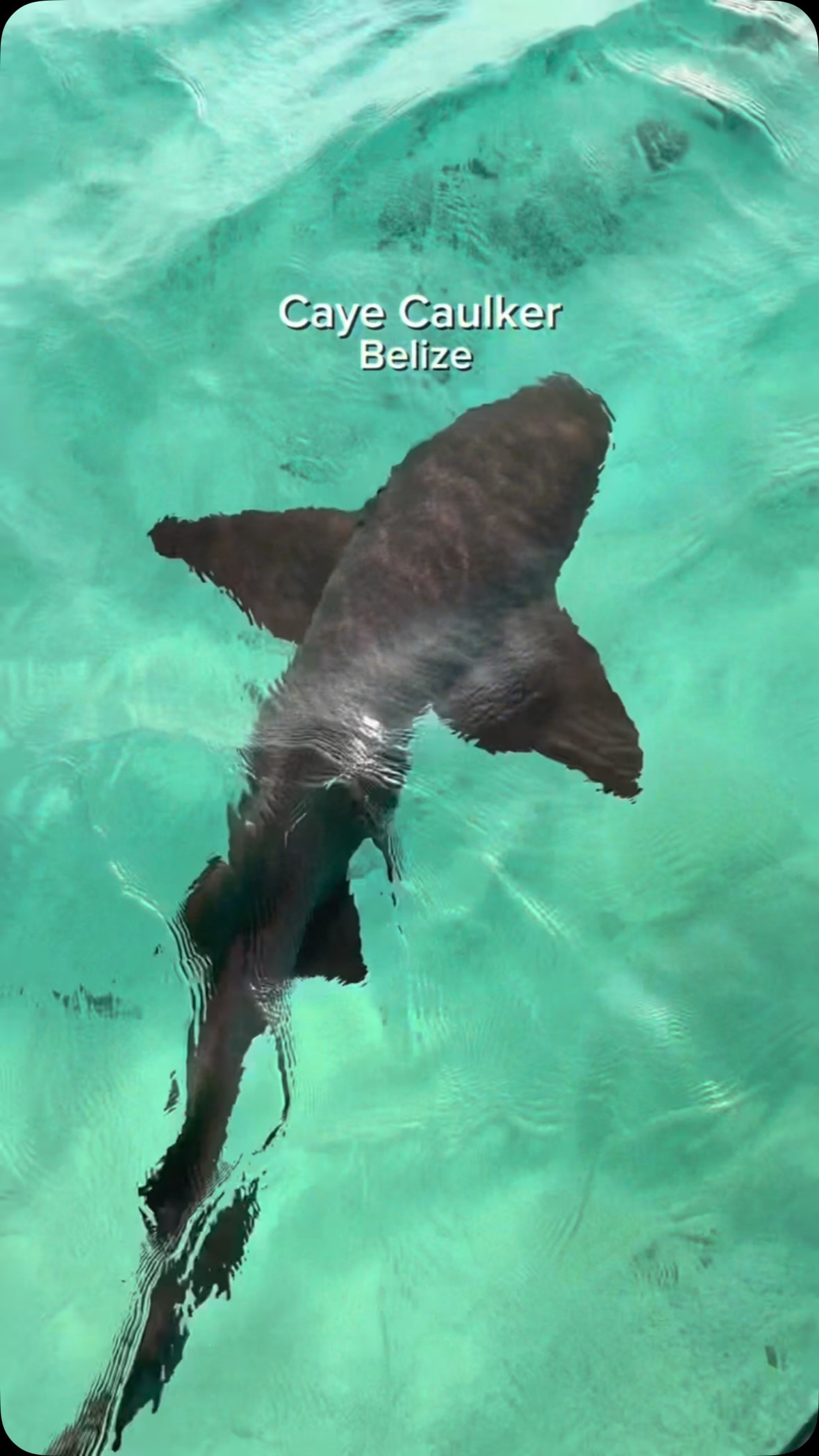 Caye Caulker: Belize's Slow Island Experience