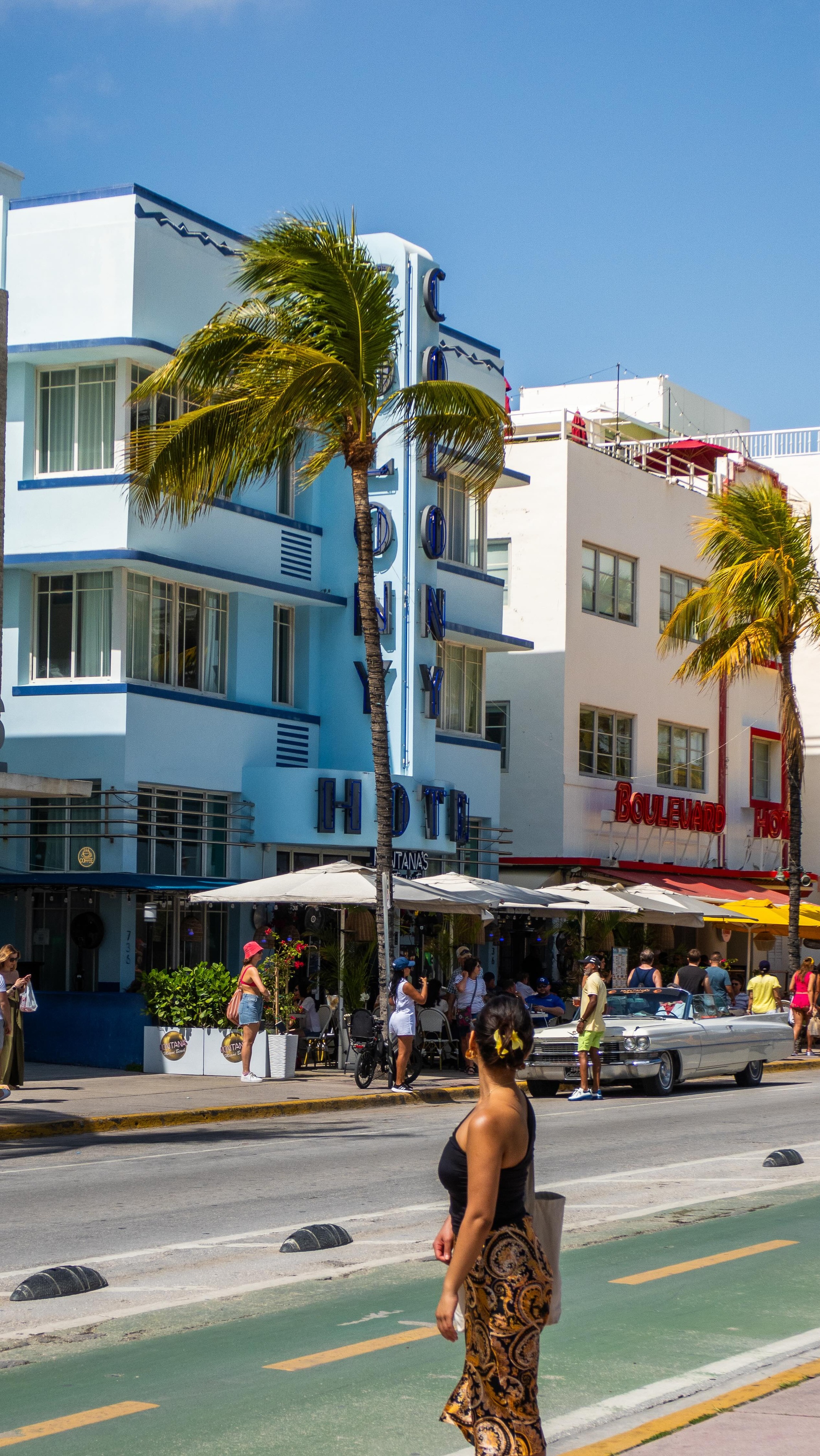 Miami's Glamorous Beaches, Art, and Natural Wonders