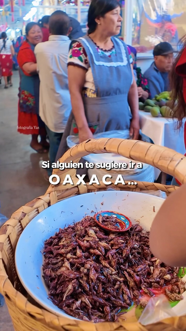 Oaxacan Food Highlights