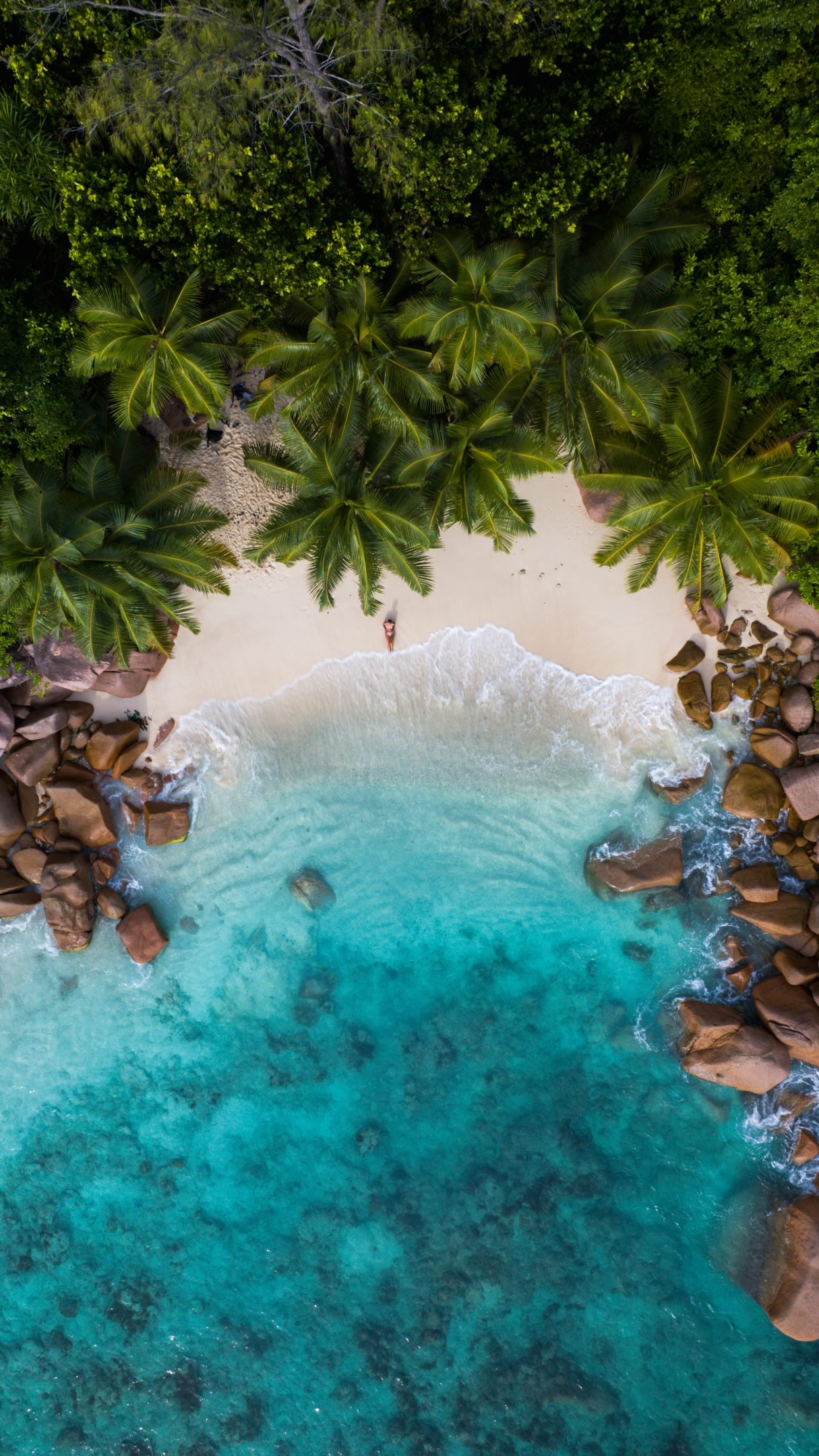Island And Safari Destinations Worth The Investment