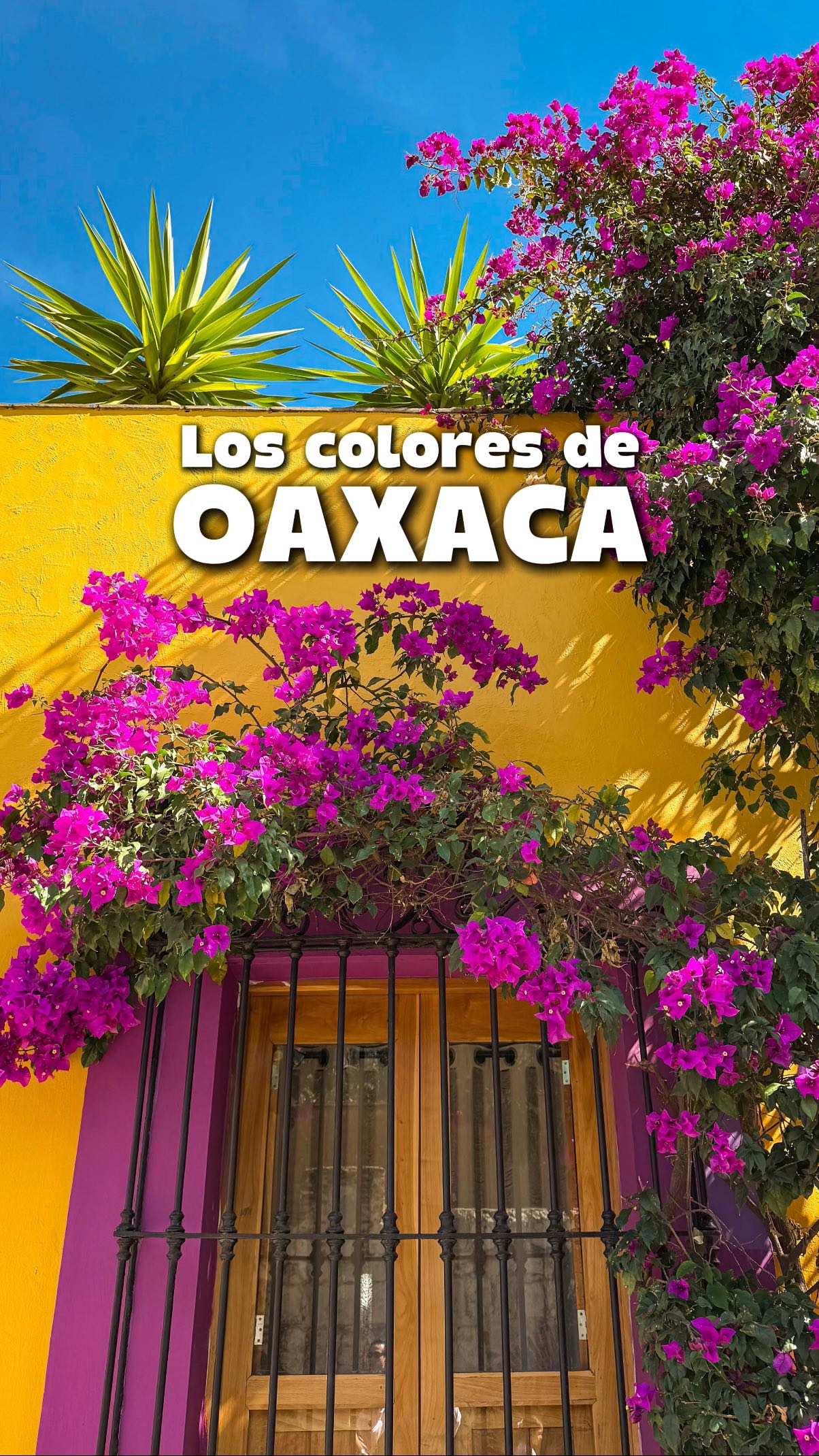 Oaxaca's Vibrant Neighborhoods and Markets