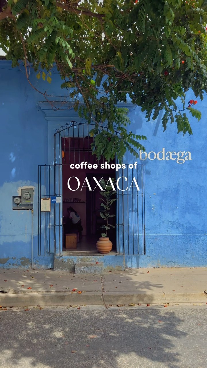 Oaxaca's Top Cafes With Shops And Great Food