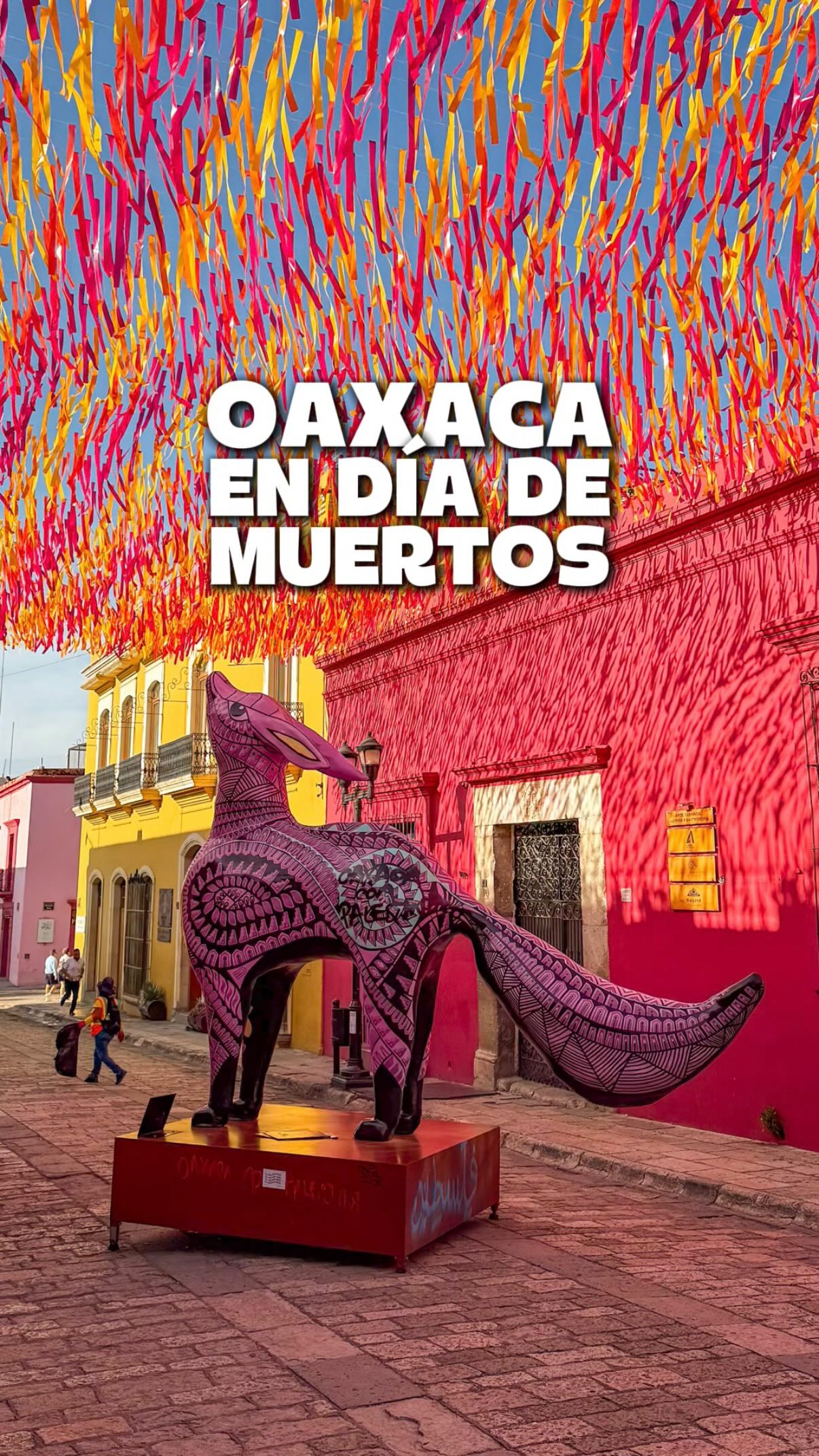 Oaxaca's Colorful Día de Muertos Streets