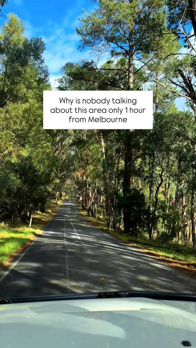 Dandenong Ranges Activities For Your Melbourne Trip