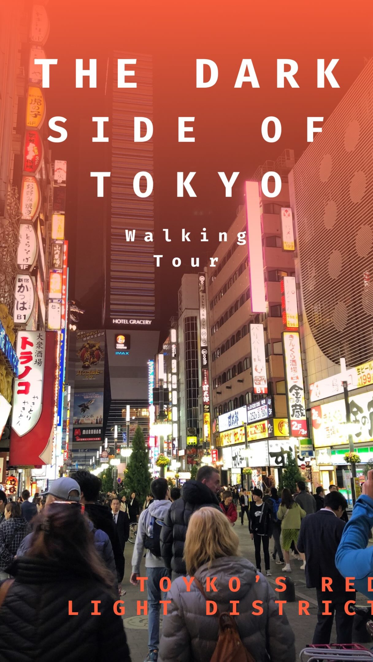 Shinjuku Nightlife Walking Tour Secrets Revealed