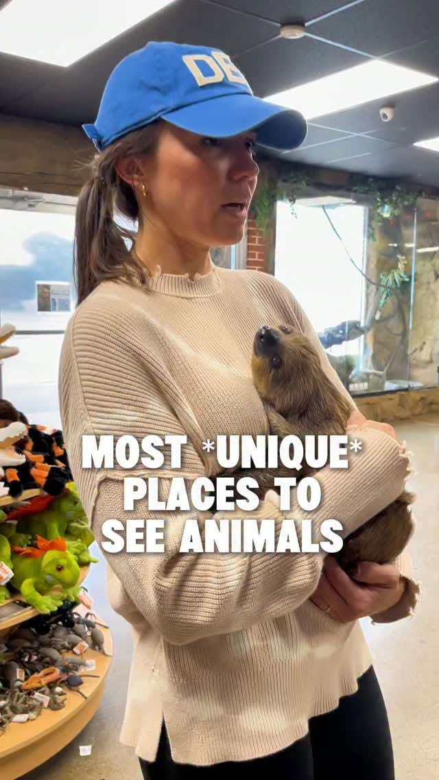 Michigan's Top Animal Encounters and Family Adventures