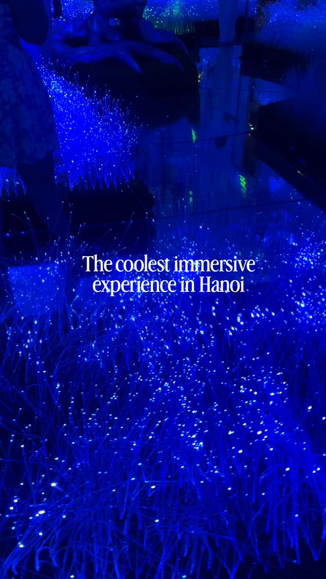 Hanoi's Immersive Digital Art Experience