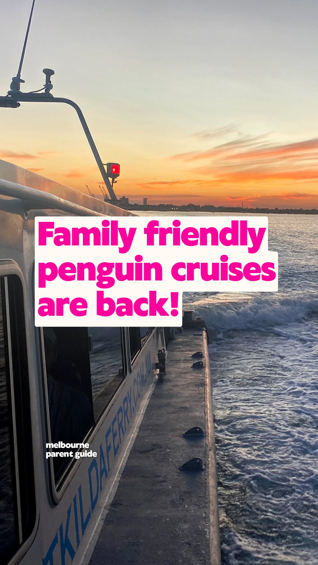 See Little Penguins In St Kilda