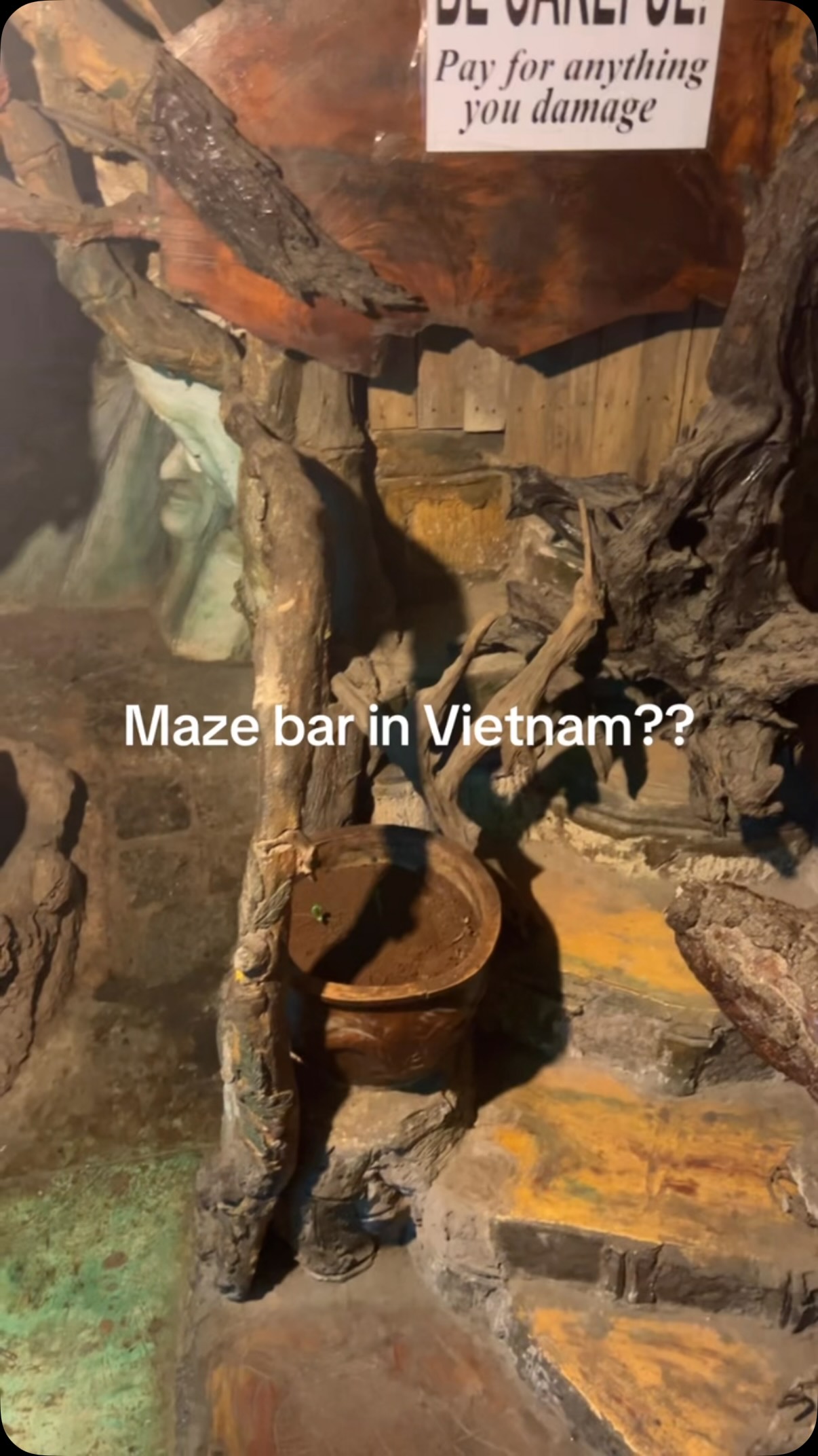 The Maze Bar Experience