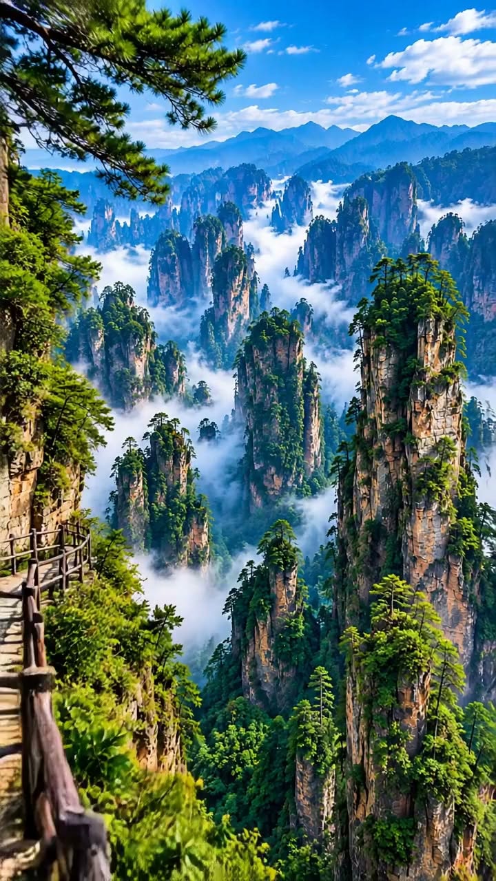 Zhangjiajie National Forest Park's Cloud-Kissed Pillars
