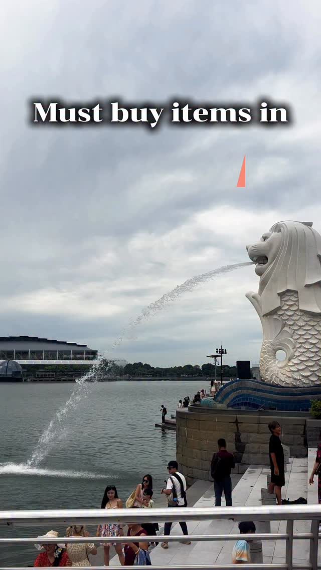 Singapore Souvenirs From Merlion Park and Charles & Keith