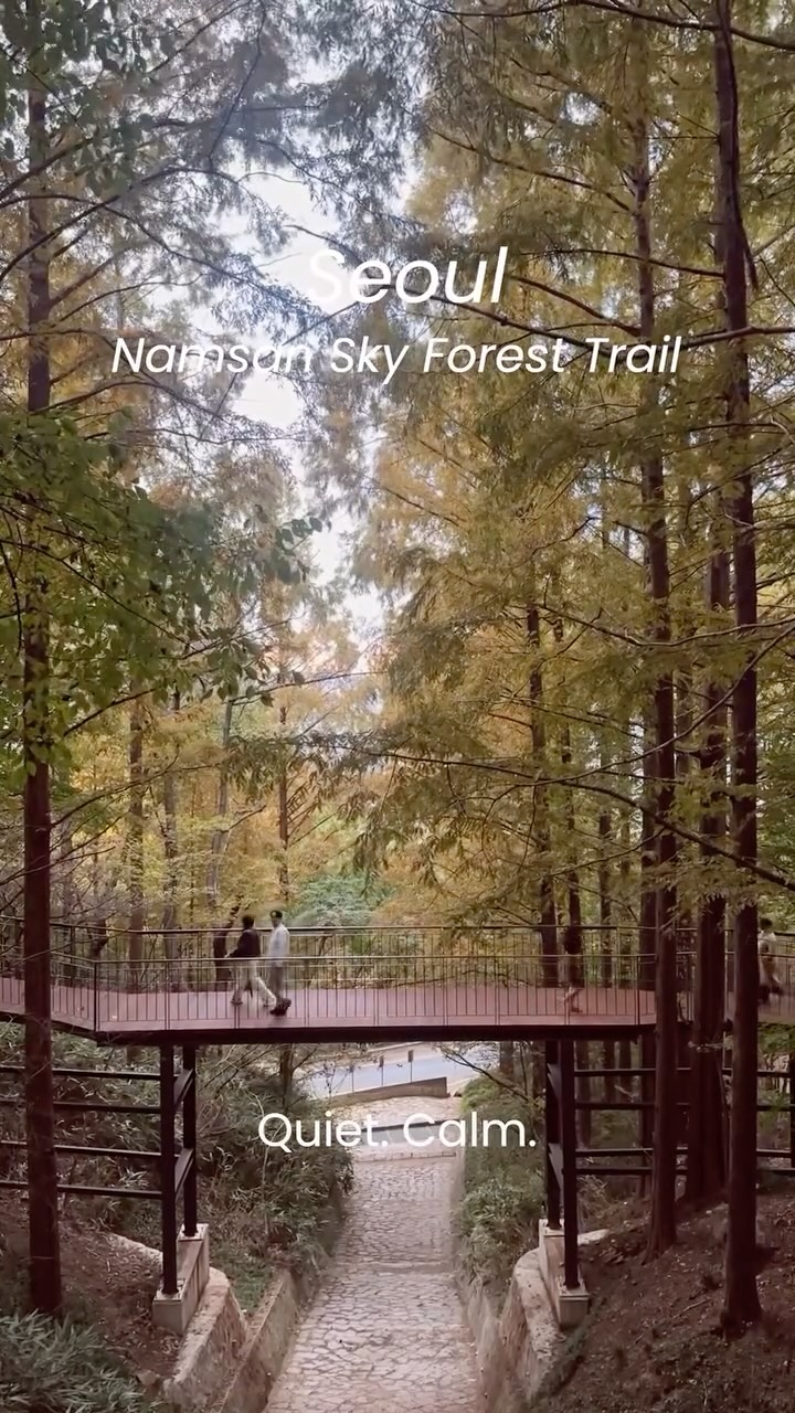 Seoul's Namsan Sky Forest Trail Offers Nature Escape