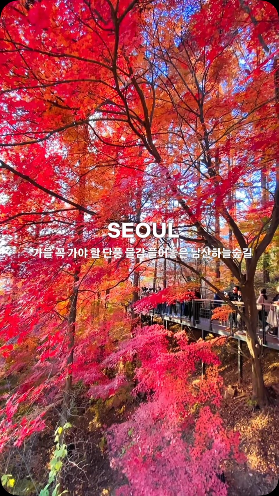 Namsan Sky Forest Trail Offers Seoul Sunset Views