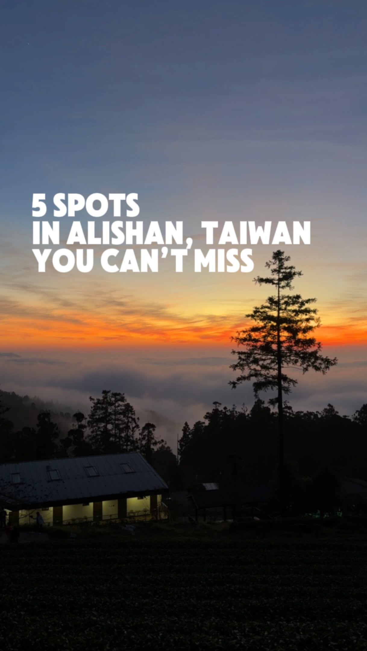 Alishan's Top Five Must-Visit Natural & Cultural Attractions