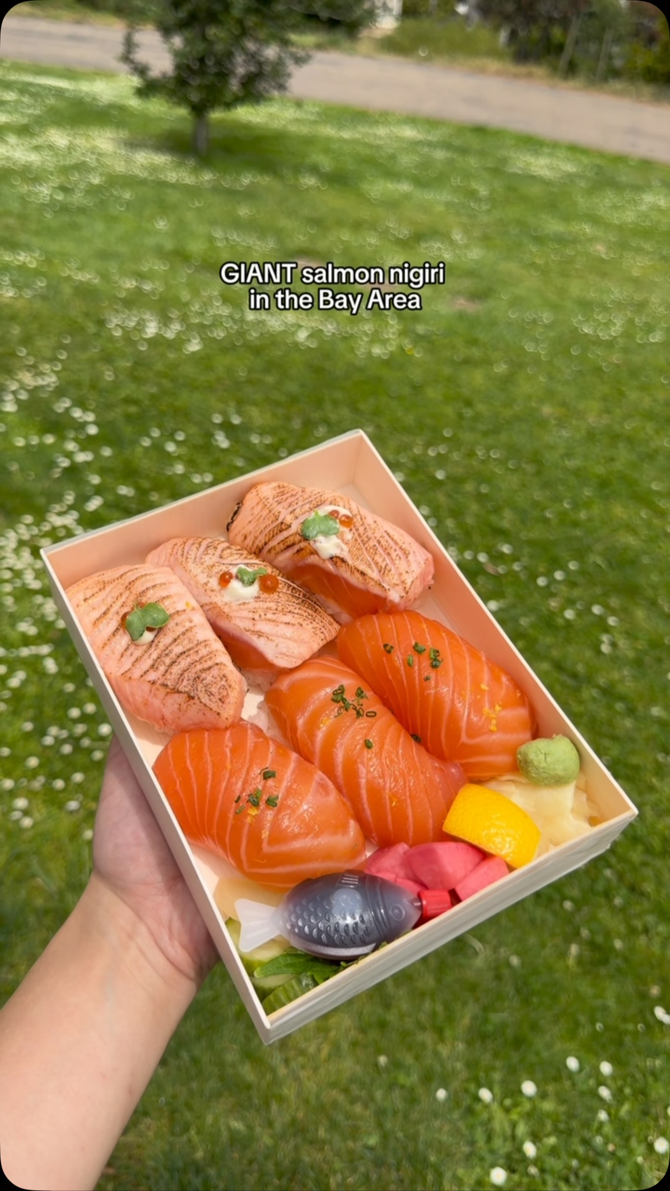 Giant Salmon Nigiri At Yoeechee