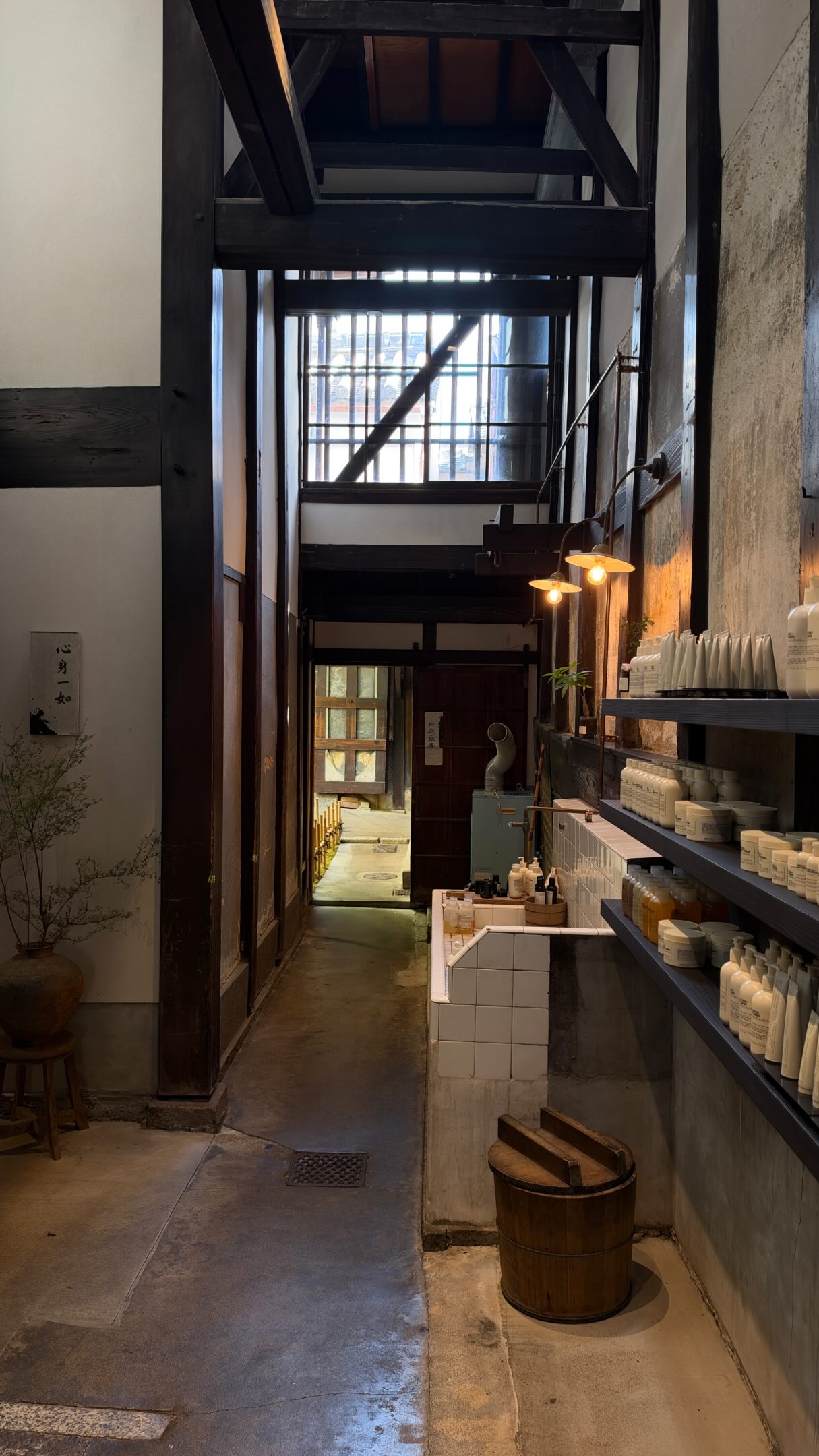Kyoto's Temples and Bamboo Forest