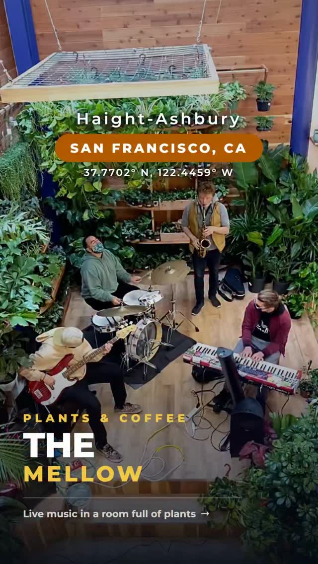 San Francisco's Best Plant Shop Offers Coffee And Music