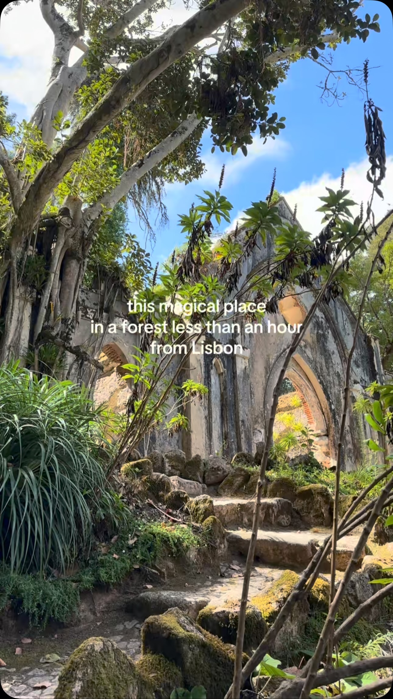 Sintra's Enchanting Monserrate Chapel Ruins