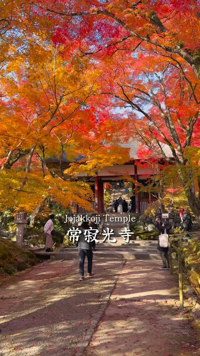 Kyoto's Autumn Scenery And Temples
