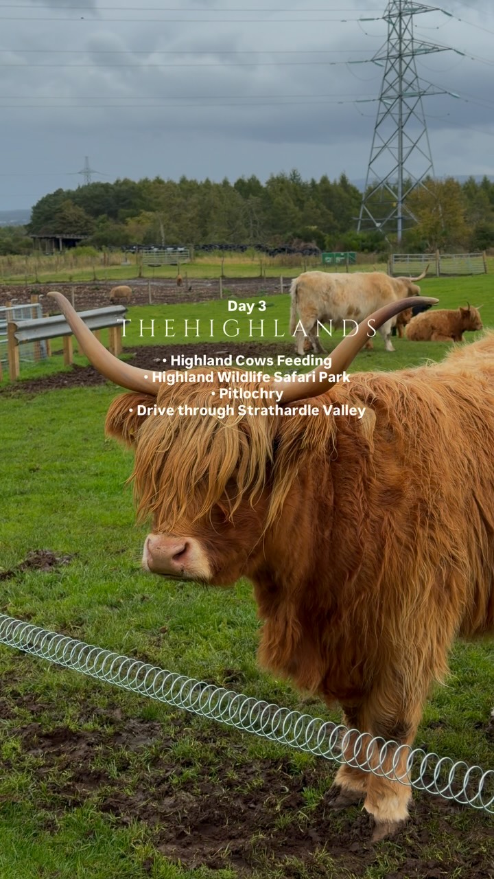 Scottish Road Trip Highlights: Castles, Glens, and Lochs