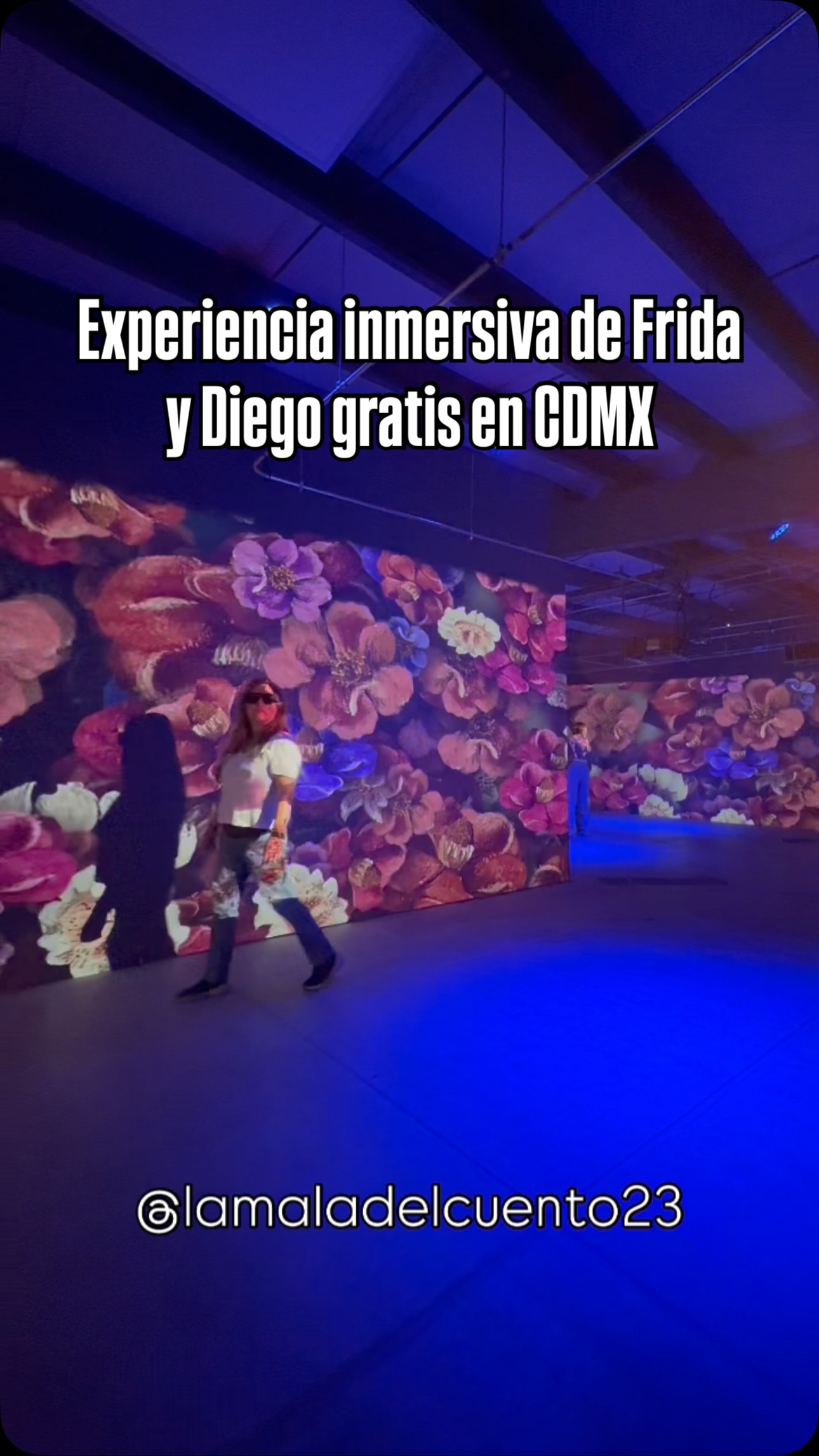 Free Frida Kahlo and Diego Rivera Immersive Exhibit