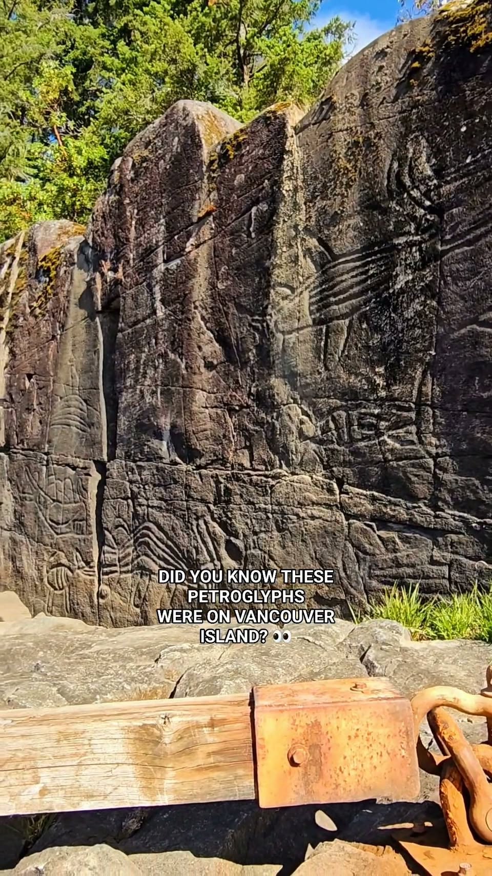 Ancient Petroglyphs At Sproat Lake