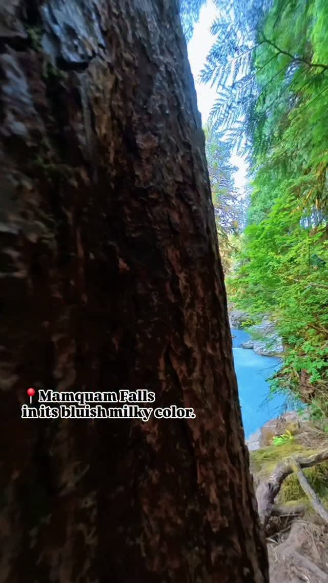 Mamquam Falls: A Scenic Waterfall Near Vancouver