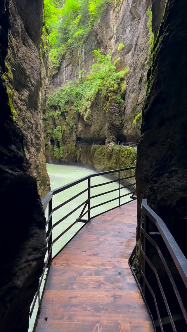 Swiss Alps Gorge Walking Adventure