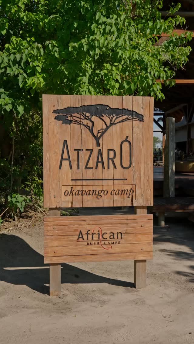 Atzaró Okavango: A Luxurious Botswana Safari Camp