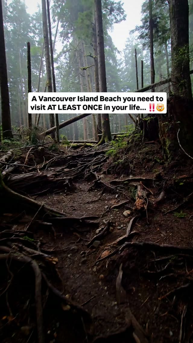 Vancouver Island's Wild Coastal Hikes